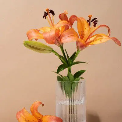 Sympathy and Funeral