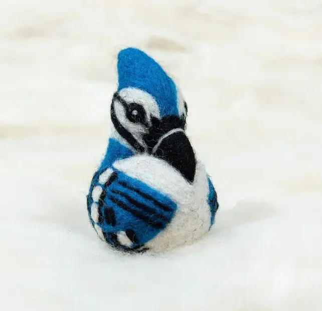 blue jay bird
