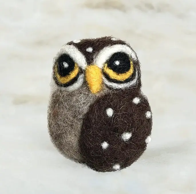 curious owl