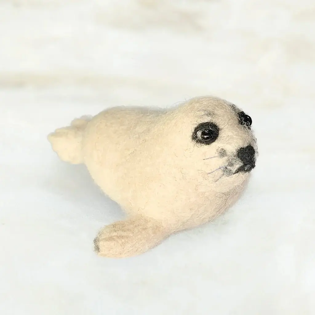 seal pup