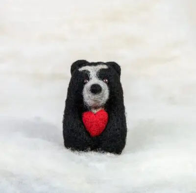 spectacled bear with heart