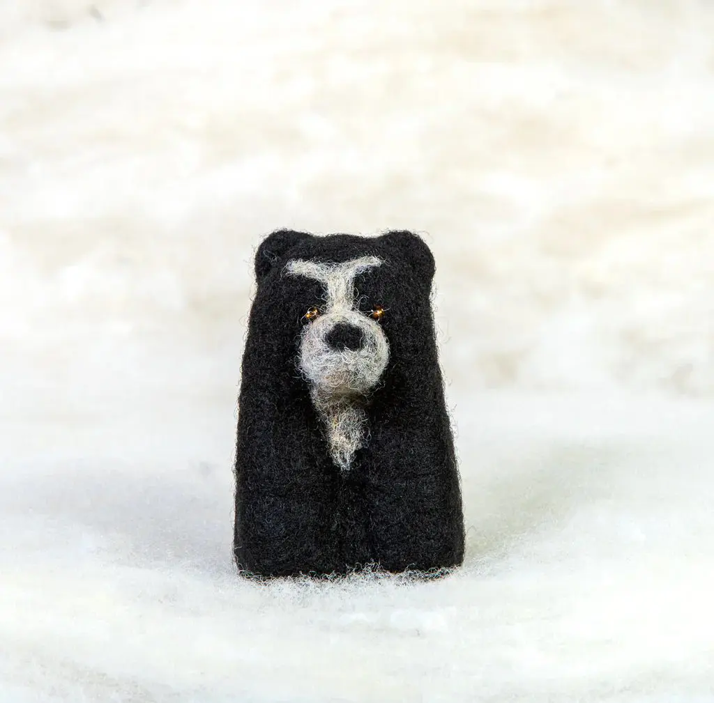 spectacled bear