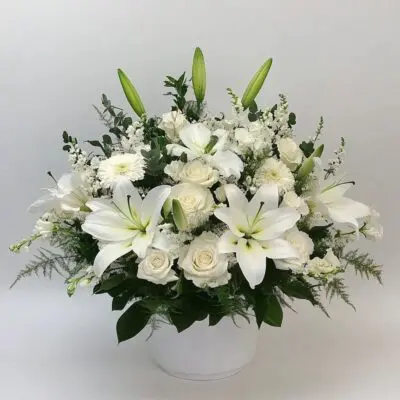 photo 2025 01 27 13 42 33