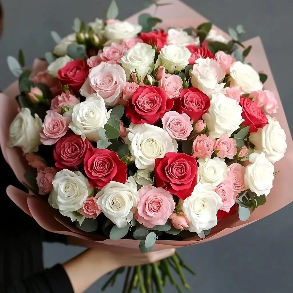 photo_2025-01-27_13-44-26