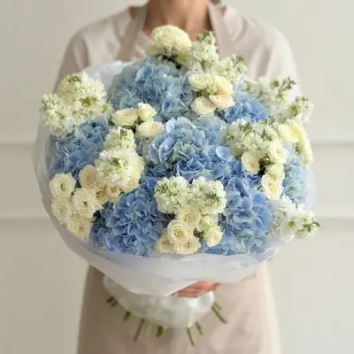petalpro 2026 09 12 18 37 42