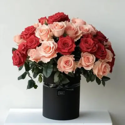 photo 2025 01 27 13 46 42