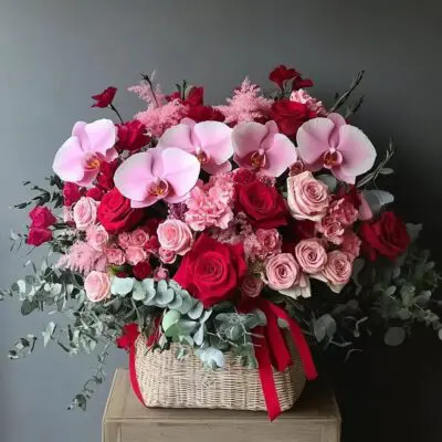 photo 2025 01 27 14 28 39