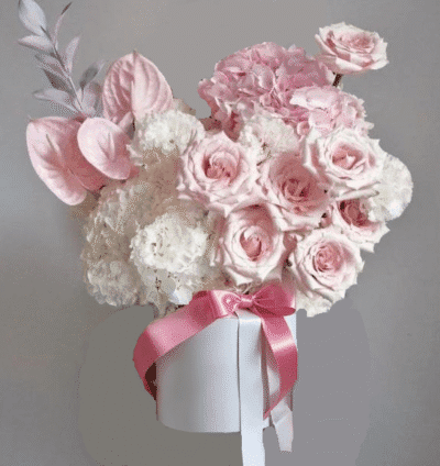 0490d306 e6f7 49e3 93ec a17c3b536b1a