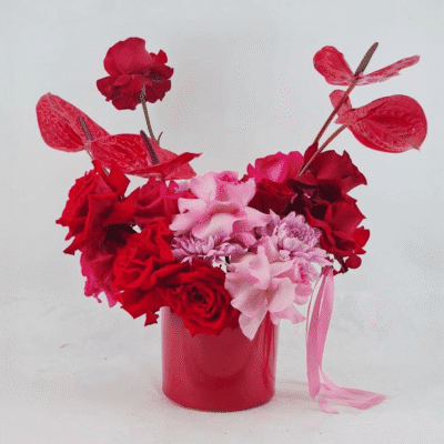 aa7ee153 88c1 4379 8e09 cca7b34e7231