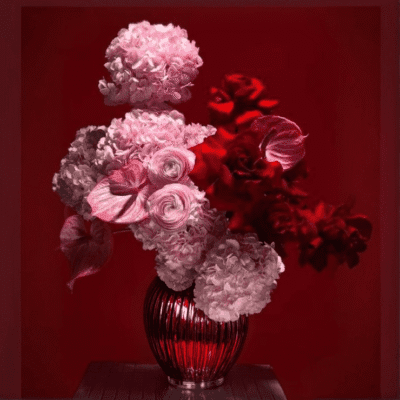 b7dbc44d 7cb3 4ba0 8f8d b363f68d7835