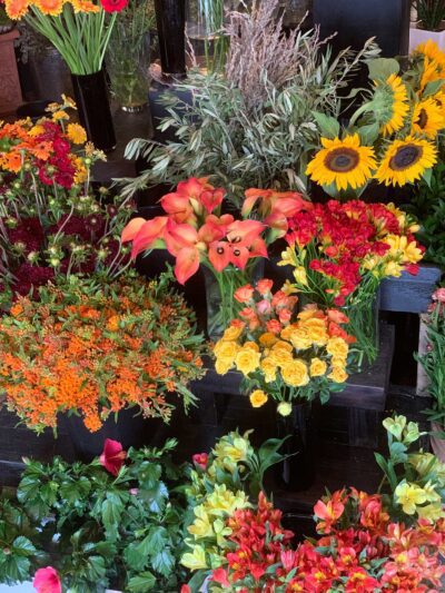 Warm Colored Flowers