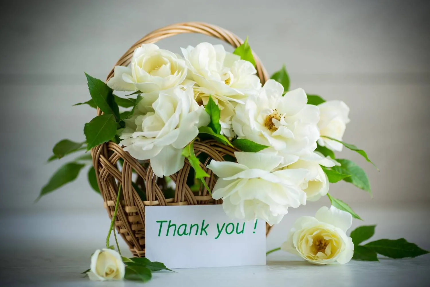 best flowers to say thank you