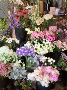 Cool Colored Flowers