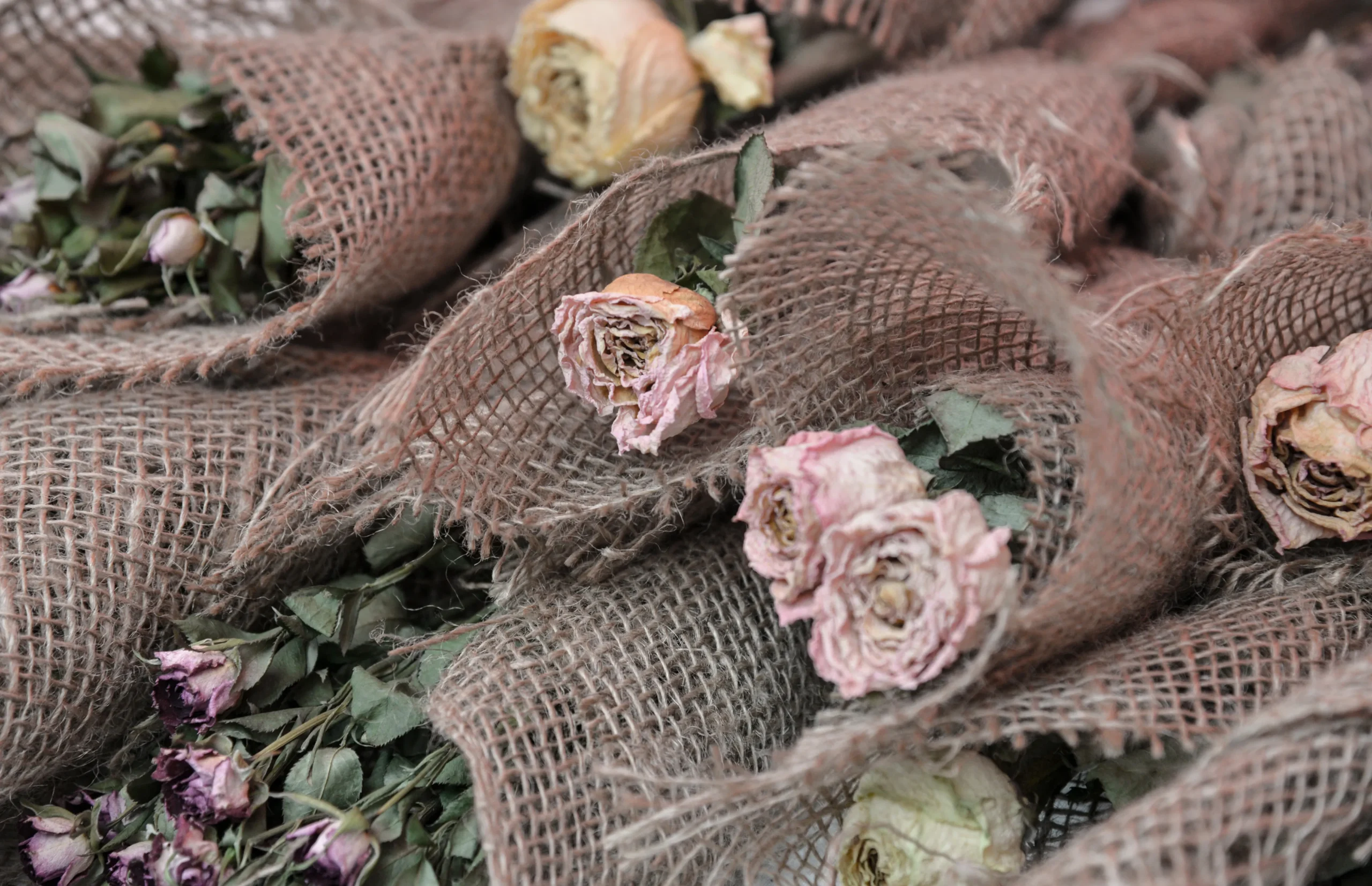 dried floral arrangements