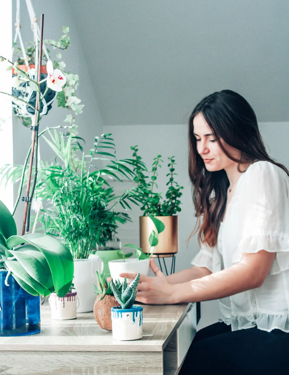 good housewarming plants