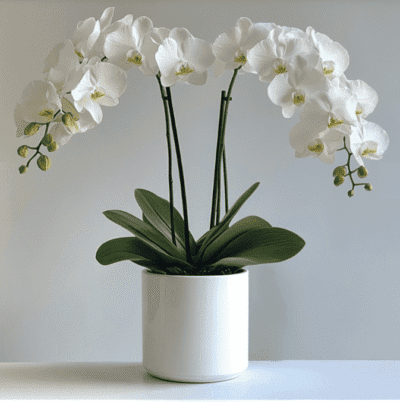 b963efc3 59a6 4b91 98eb 987f131f0f72