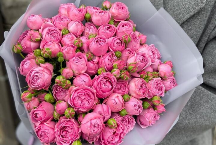 Rose Pink Misty Bubble