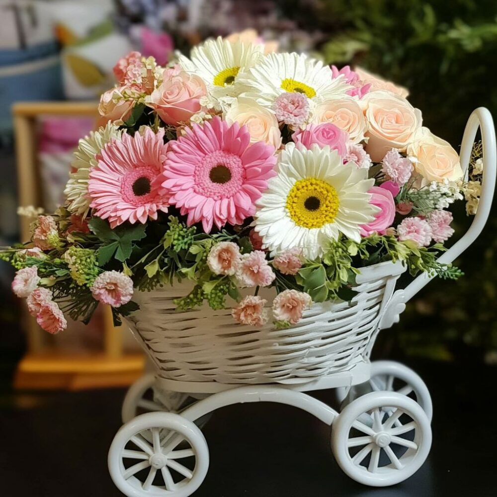 Baby birth arrangement in carriage