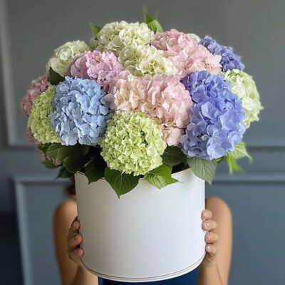 photo 2024 10 22 23 27 51 3