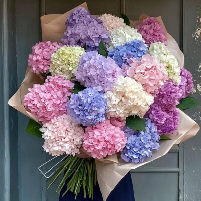 photo 2025 01 27 13 41 46