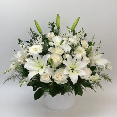 photo 2025 01 27 13 42 33