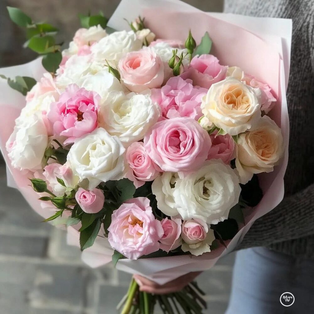 Cotton Bloom Rose Symphony
