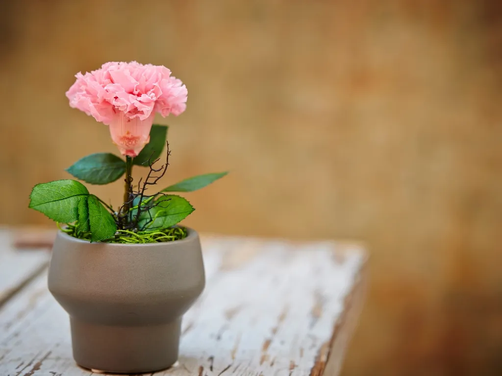 how to preserve flower