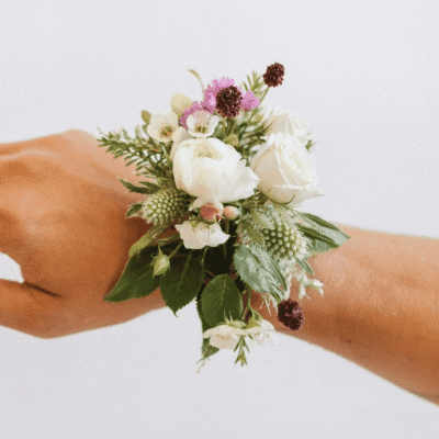 5626f3aa e61a 4a1b aa6c f9f53598c5e4