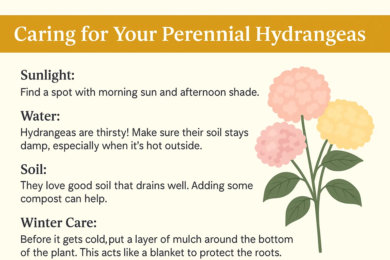 Caring for Your Perennial Hydrangeas