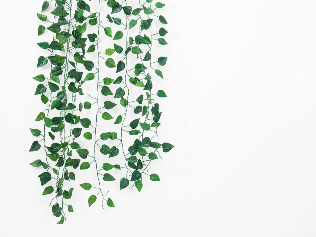 Picks for Air-Purifying Flowers