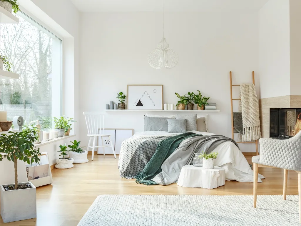 The Best Plants for a Bedroom
