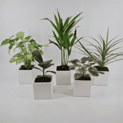 WhatsApp Image 2025 10 19 at 13.06.54 640bf5a3