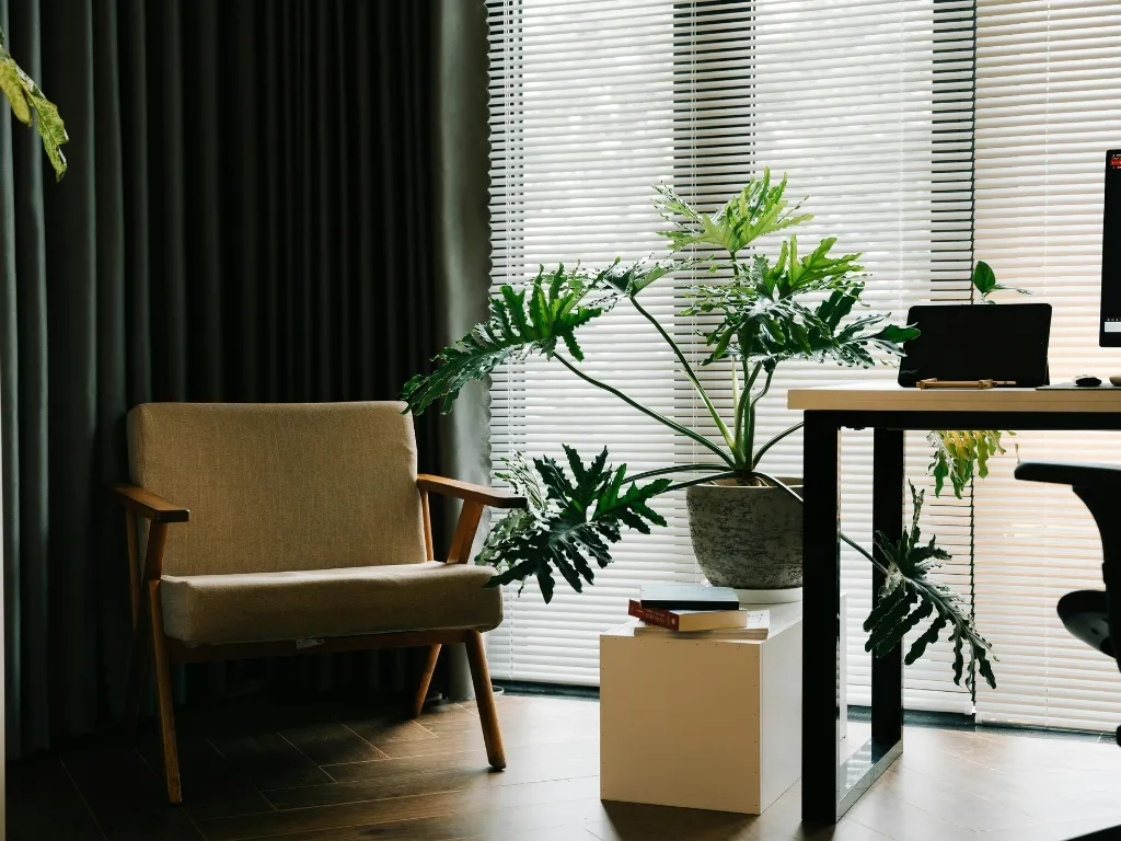 Plants by Space Type