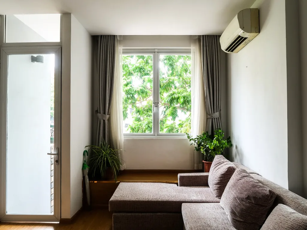 Best Plants for West-Facing Windows