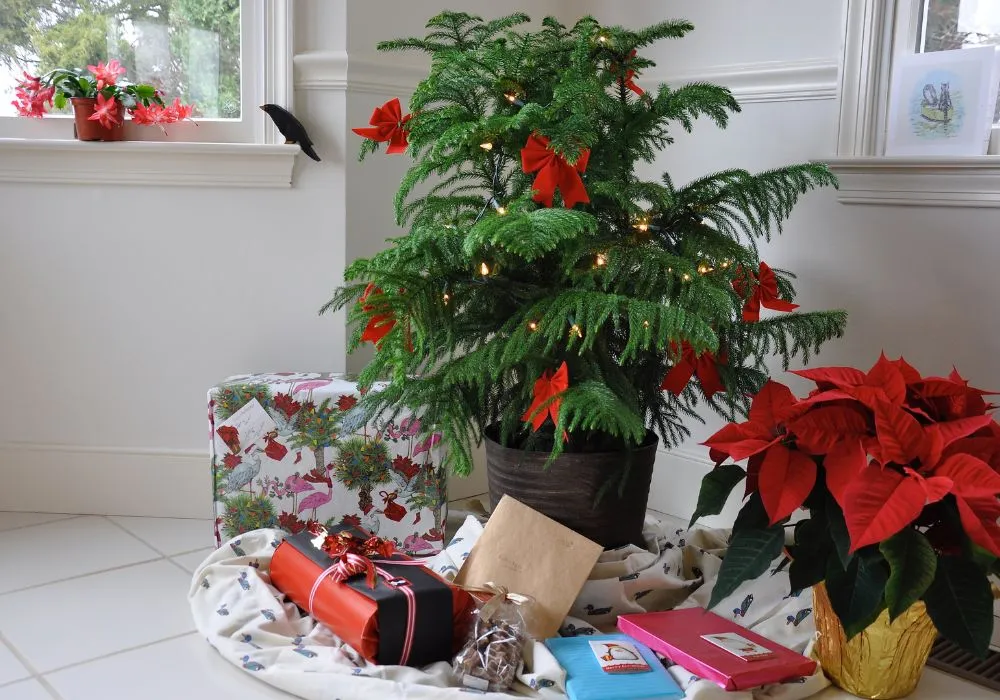 Budget-friendly holiday flower decorations