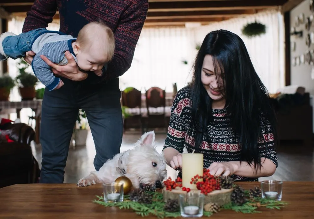 Easy holiday flower arrangement ideas