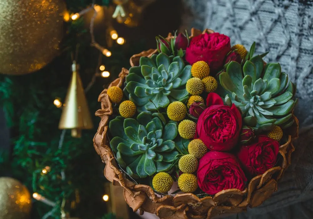 flowers and plants christmas