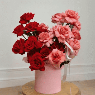 95ecbf3f a5e4 42c8 a4f0 93051044f422