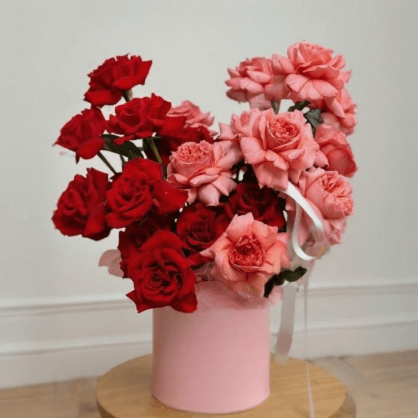 95ecbf3f a5e4 42c8 a4f0 93051044f422