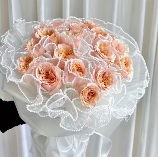 WhatsApp Image 2026 01 14 at 6.04.09 PM